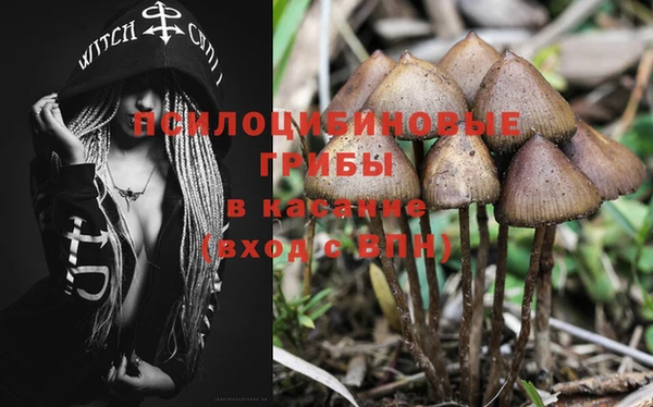 амф Абинск